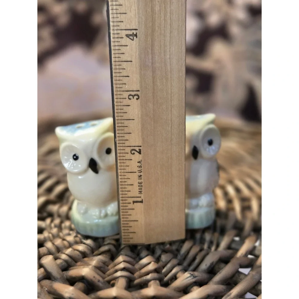 😎Cute Ceramic Owl Salt‎ Pepper Shakers Set Kitchen Decor Vintage Cracker Barrel